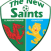 The New Saints FC